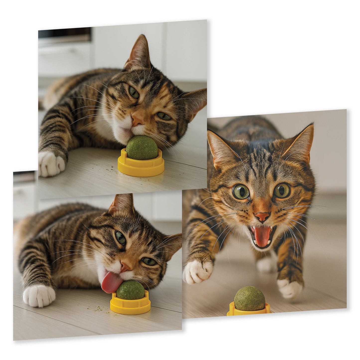 Kitty Ka-Zoom Silvervine Zoom Rollers - 2 Pack