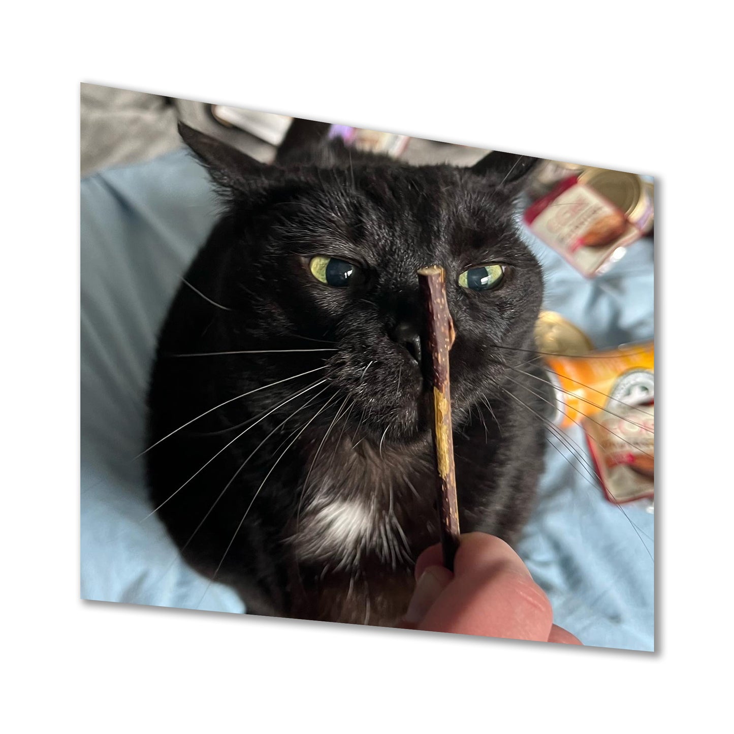 ZOOM CHEWS - Silvervine Sticks