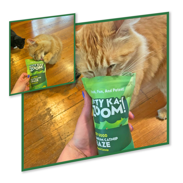 It Wakes Up Their Wild Side