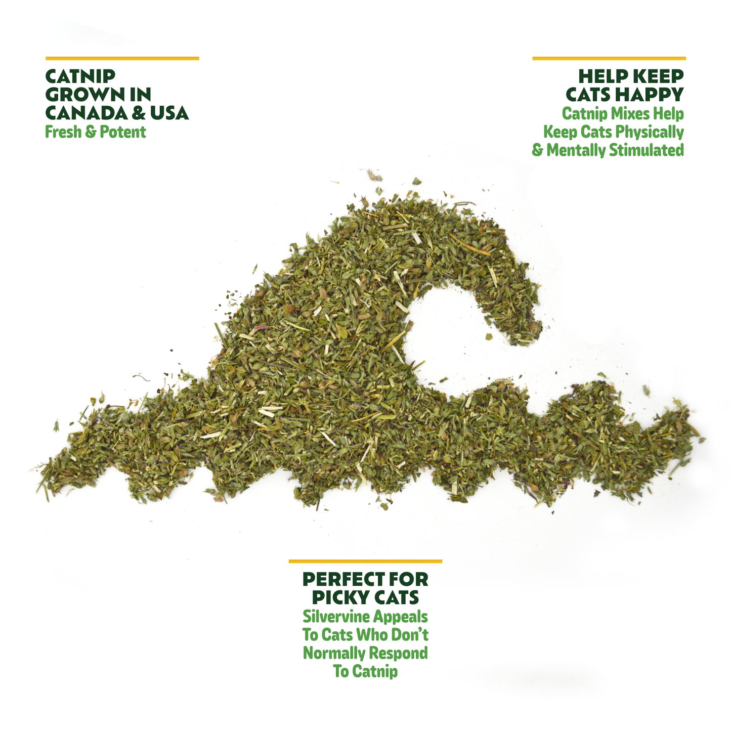 SILVERVINE SURGE - Catnip & Silvervine Mix