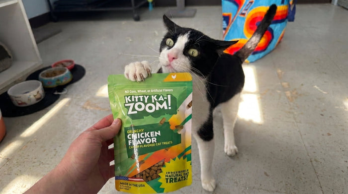 Catnip Treats for Cats: What They Do and How to Use Them