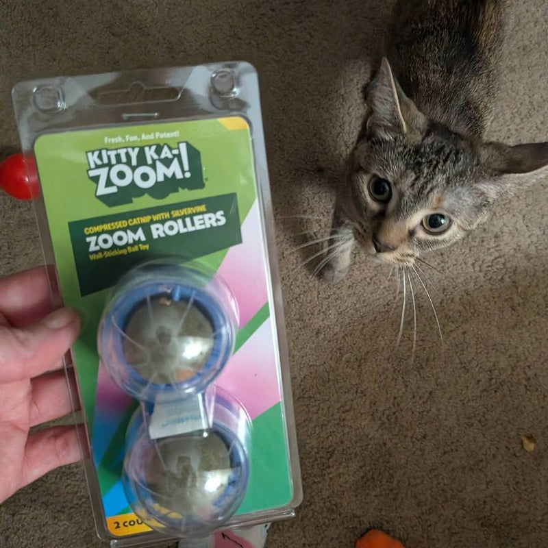 The Best Budget Cat Toys (Everything Under $8)