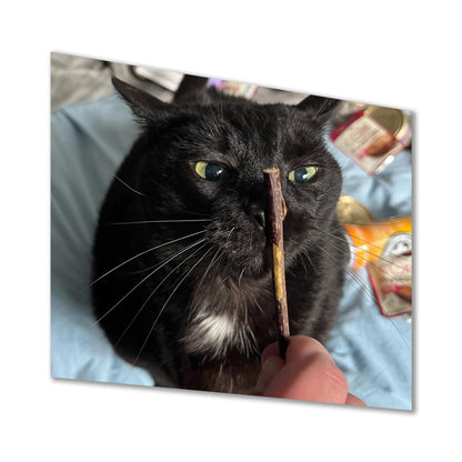 ZOOM CHEWS - Silvervine Sticks