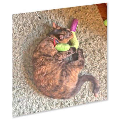 ZOOMIE SNAKE KICKER - Refillable Cat Toy + Catnip