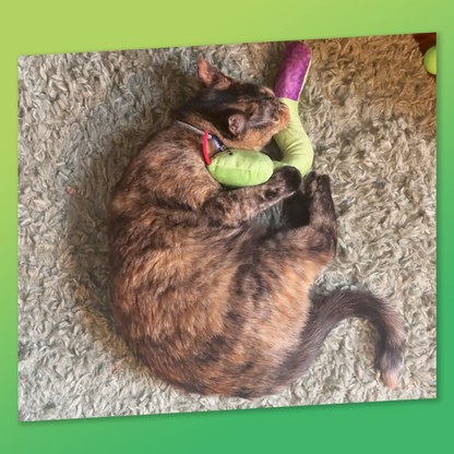 ZOOMIE SNAKE KICKER - Refillable Cat Toy + Catnip