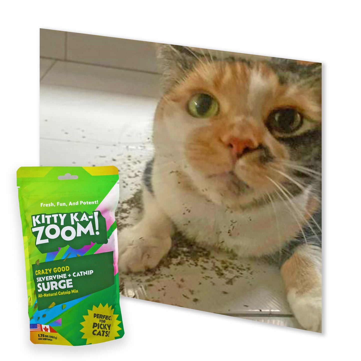 SILVERVINE SURGE - Catnip & Silvervine Mix